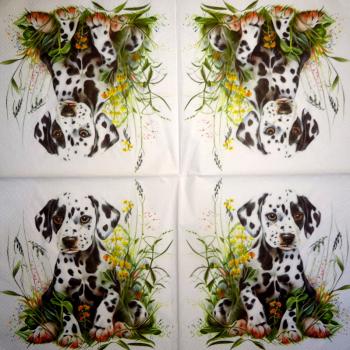 915 Dogs - 3-ply - Specials